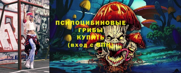 соль ск Балахна